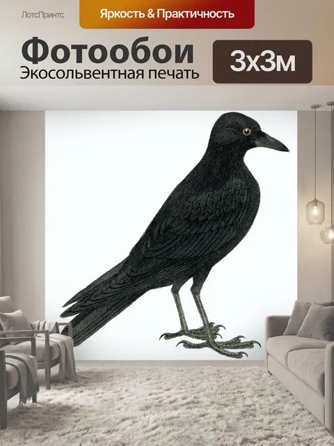 Фотообои Ворона ворон птица винтаж
