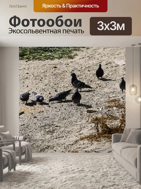 Фотообои Голуби