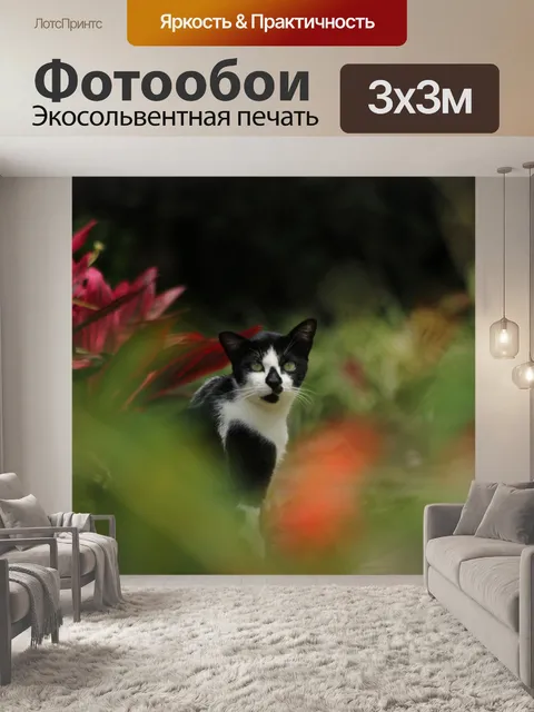 Фотообои Кошка