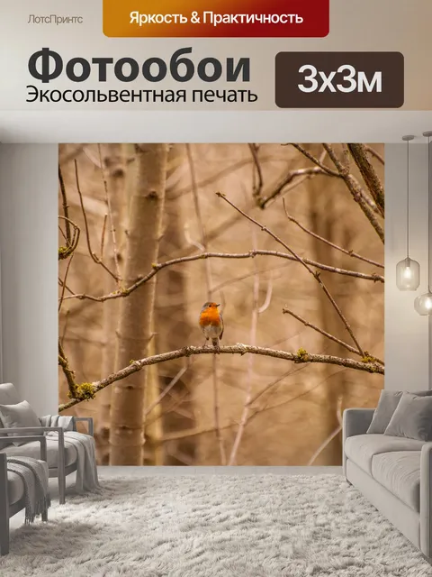 Фотообои Птица