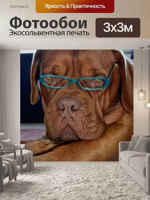 Фотообои Мода собаки