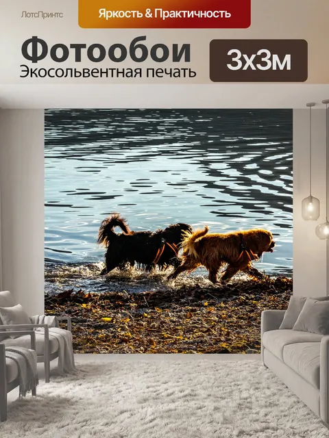 Фотообои Собаки