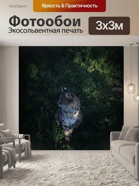 Фотообои Рысь