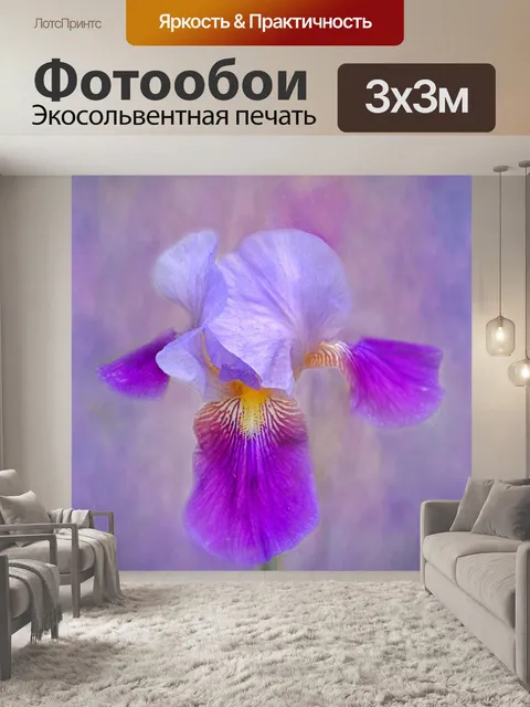 Фотообои Ирис