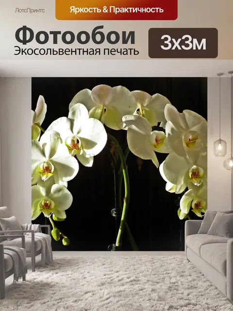 Фотообои Орхидеи