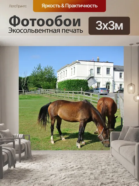 Фотообои Деревенский дом