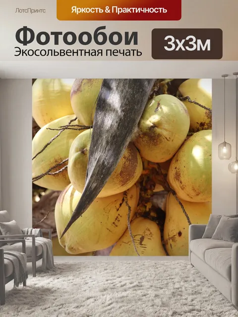 Фотообои Какать