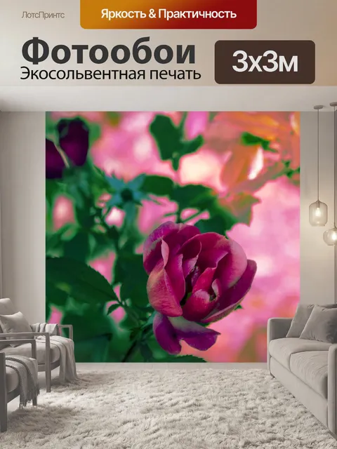 Фотообои Роза
