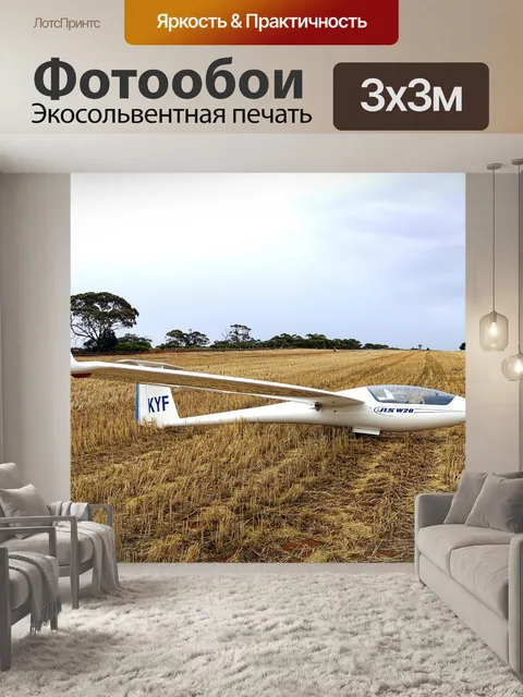 Фотообои Планер