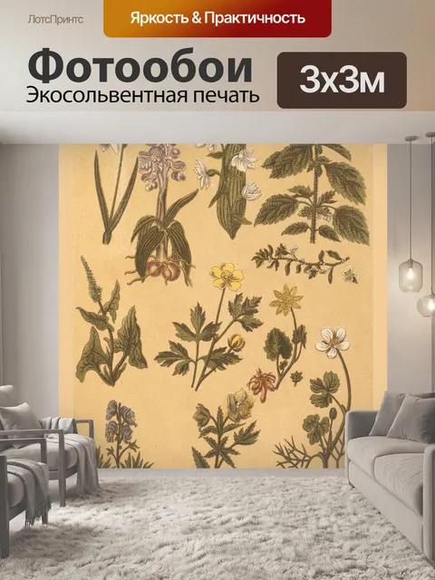 Фотообои Коллаж старинных ботанических растений