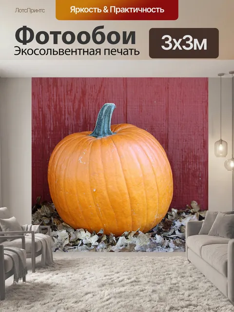 Фотообои Тыква против красного сарая
