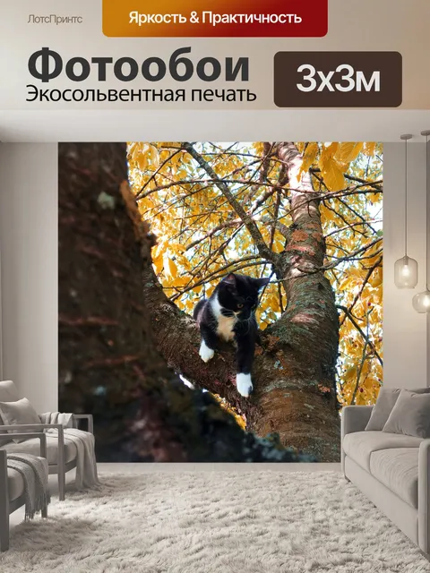 Фотообои Кошка