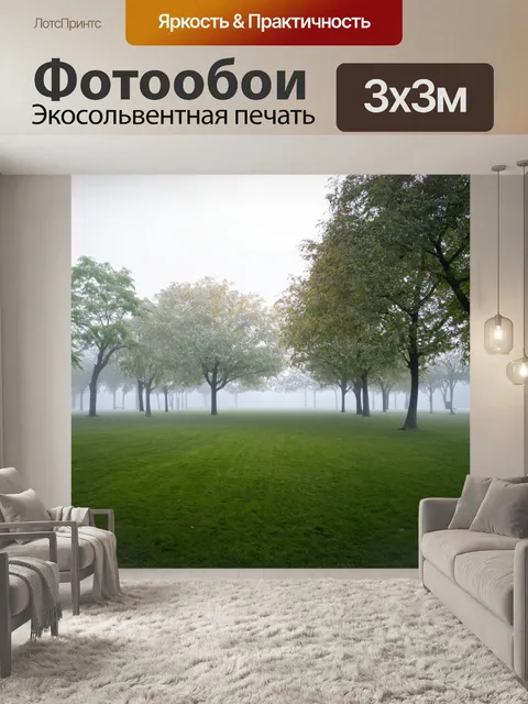Фотообои туман в стиле модернизм, минималистично оформленный парк, окутанный утренним туманом, медитация и покой