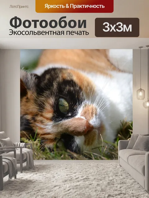 Фотообои Кошка