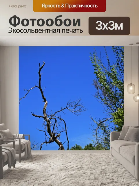 Фотообои Сухое дерево на фоне голубого неба