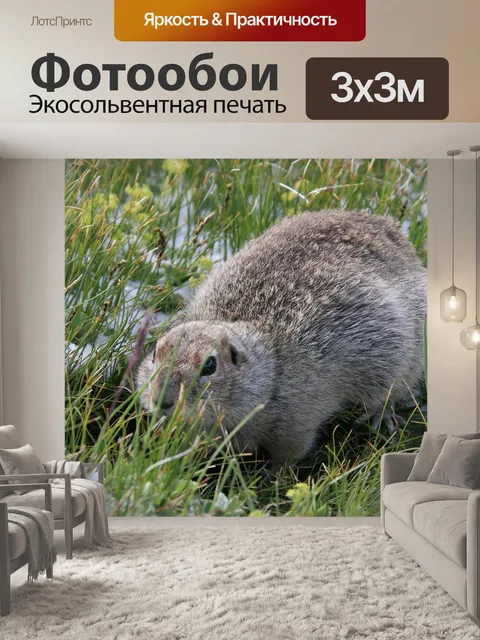 Фотообои Эльбрус