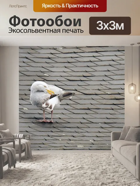 Фотообои Чайка