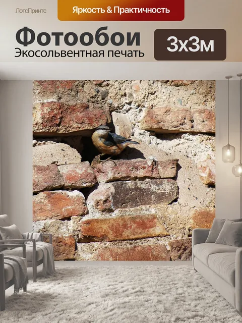 Фотообои Птица