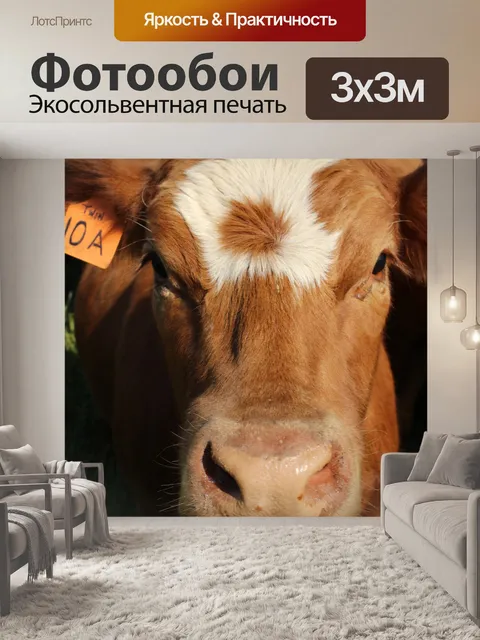 Фотообои Стадо коров выгона