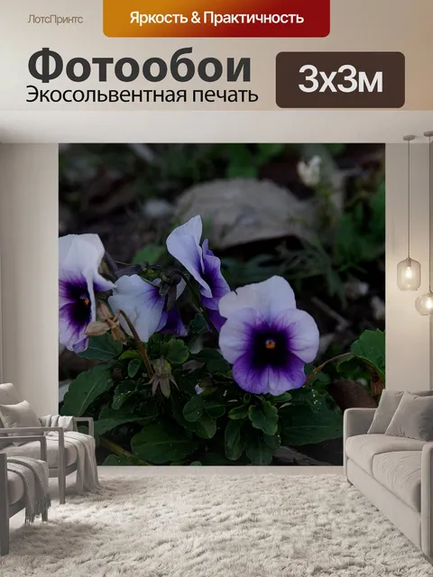 Фотообои Фиолетовые цветы анютины глазки