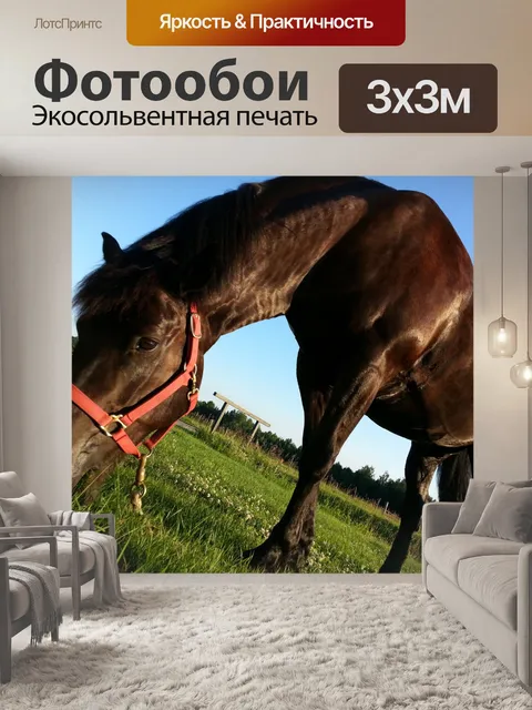 Фотообои Черная лошадь, едят травы