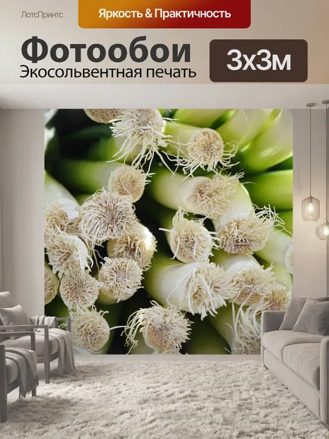 Фотообои Лук-порей