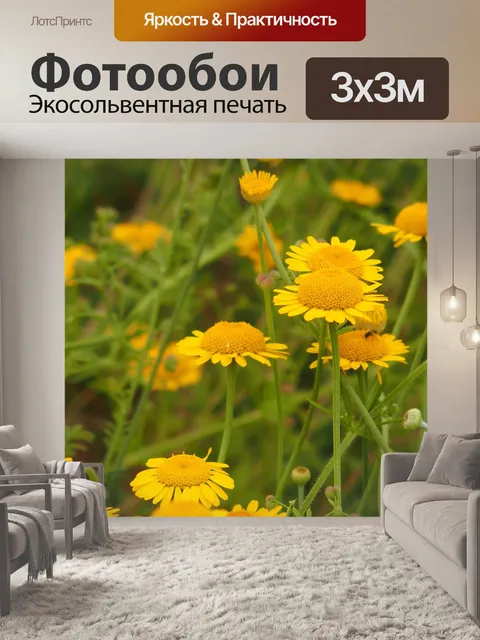 Фотообои Жёлтый