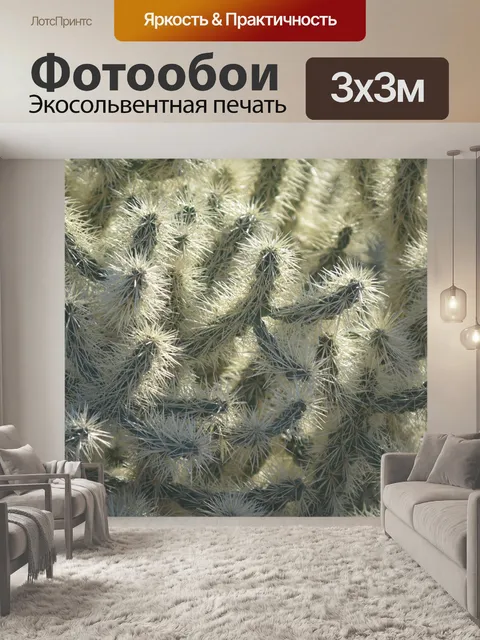 Фотообои Кактус