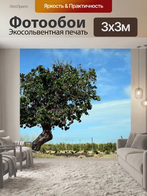 Фотообои Дерево