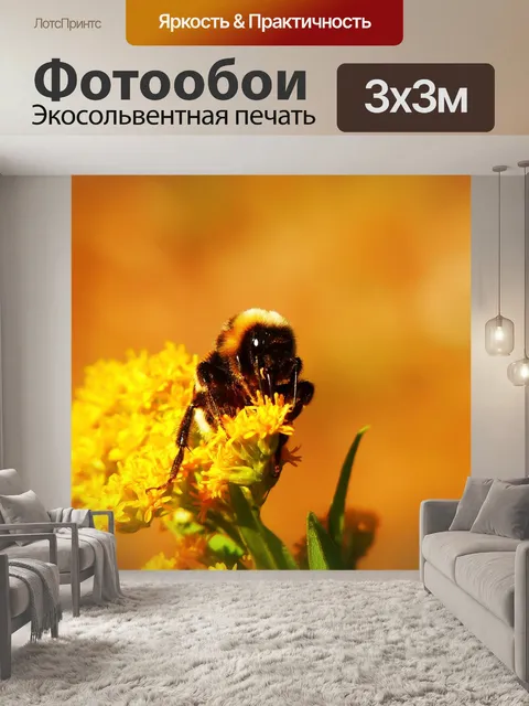 Фотообои Шмель газ
