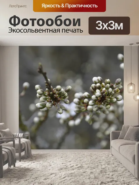 Фотообои Дерево