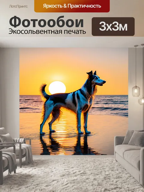 Фотообои борзая, стоящая на берегу моря, отражаясь в воде на фоне заката, символизирует красоту и умиротворение