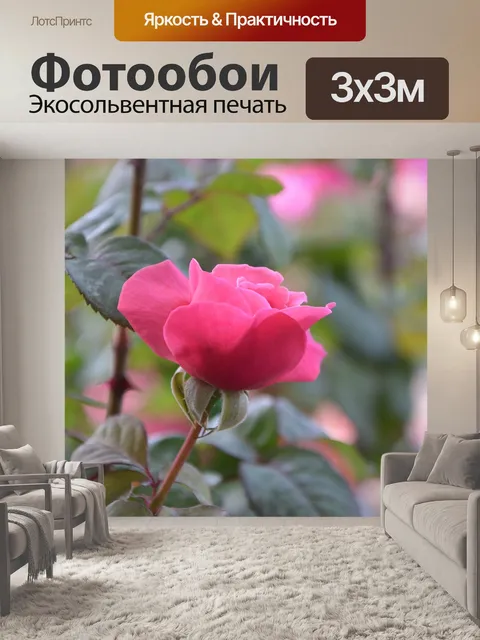 Фотообои Розовый
