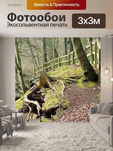 Фотообои Забор в лесу