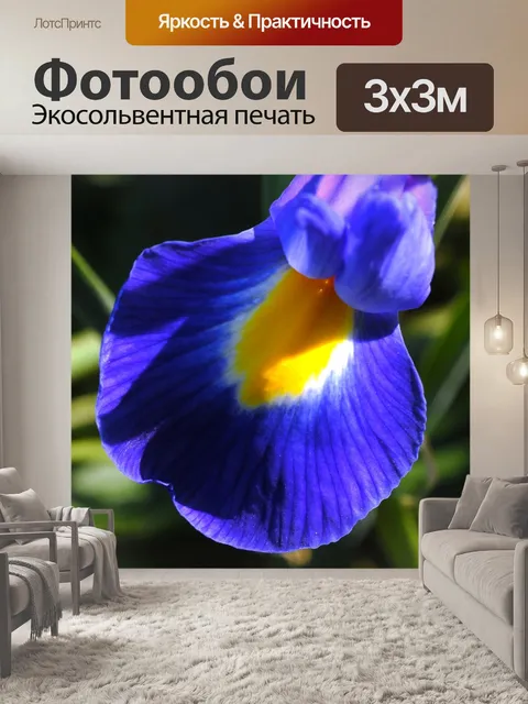Фотообои Флора