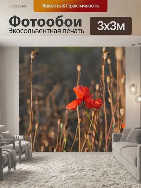 Фотообои Мак