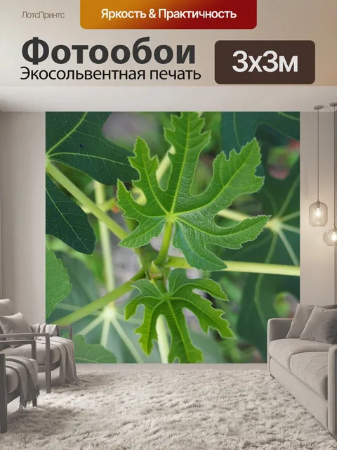 Фотообои Фиговый лист