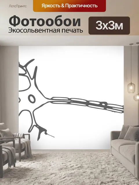 Фотообои Головной мозг