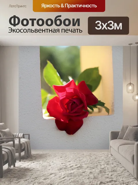 Фотообои Красная роза на окне забор