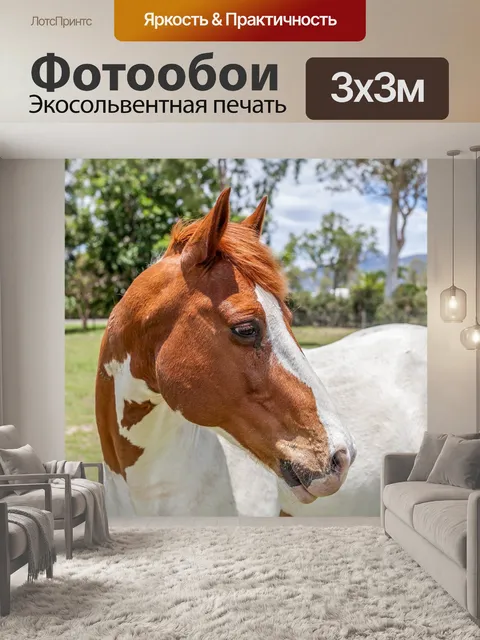 Фотообои Лошадь