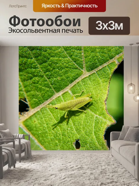 Фотообои Макрос