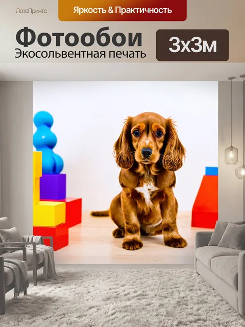 Фотообои кокер-спаниель, обучающийся команде "сидеть" на фоне ярких игрушек