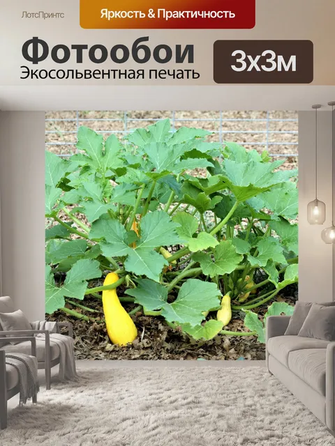 Фотообои Желтый сквош-завод
