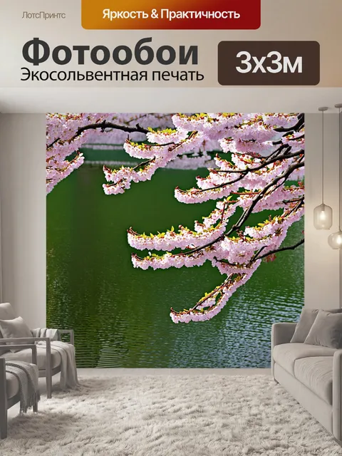 Фотообои зеленые в стиле японская тушь с изображением нежных цветущих сакур на фоне спокойной водной глади