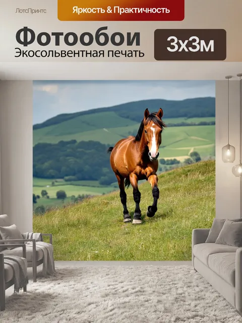 Фотообои пони карабкается на холм, чтобы посмотреть на мир с вершины