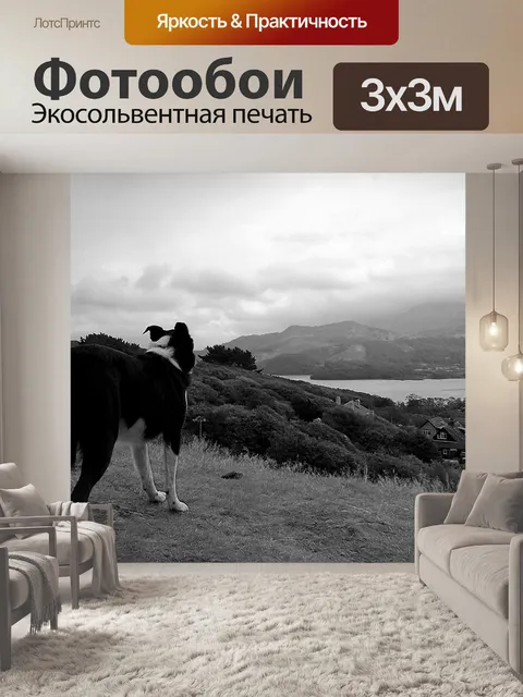 Фотообои Собака