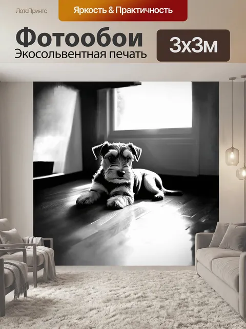 Фотообои щенок шнауцера, лежащий на деревянном полу, рядом с открытым окном, где яркие лучи солнца падают на его…