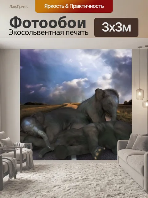Фотообои Слоны