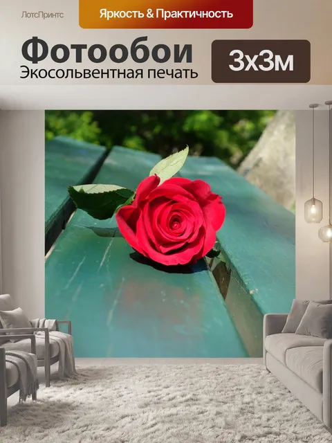 Фотообои Красная роза