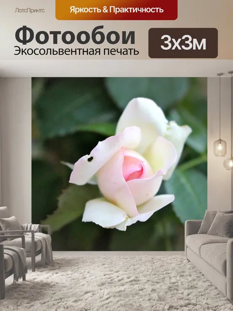 Фотообои Старая роза